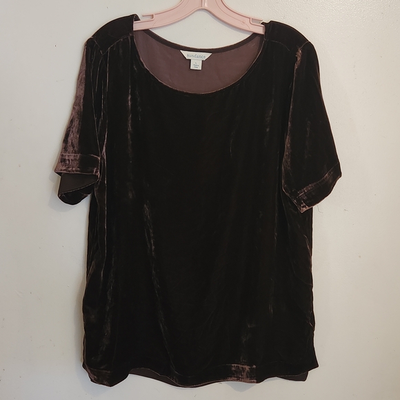 Sundance Tops - Sundance Velvet Short Sleeve Tee - Rich Chocolate